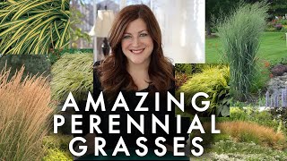 10 Perennial Grasses I Absolutely Love 🌾💚 Garden Answer [upl. by Eimaral]