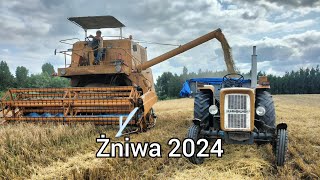 Żniwa 2024  Jęczmień pod kosę  BIZON ZO56 [upl. by Adine]