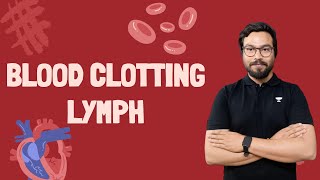 Blood Clotting and lymph [upl. by Ailsa]