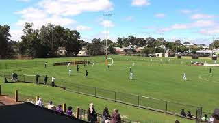 Chulu Johnson 2023 WA NPL U18s season showreel [upl. by Teteak]