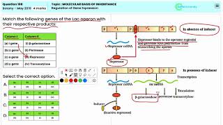 NEET Botany  Gene Expression Control Transcriptional and Translational Regulation for Question 168 [upl. by Asillim902]