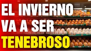 12 Alimentos que DEBES COMPRAR antes de Noviembre [upl. by Ynatterb837]