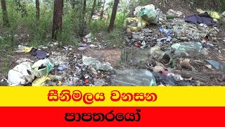 Bogahakubura Parisara haniya  බෝගහකුඹුර පරිසර හානිය [upl. by Arlette102]