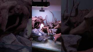 I Build Paludarium Waterfall Using Foam And CocoPeat  DIY Waterfall paludariumsetup diywaterfall [upl. by Enilaf]