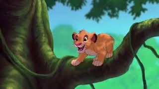 Simba amp TimonSimba amp Pumbaa Moments Part 3 13 [upl. by Dranel396]