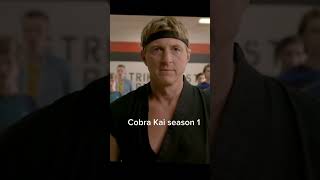 Cobra Kai season 1 [upl. by Eseekram]