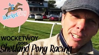 Wocket Woy Shetland Pony Racing [upl. by Larianna]