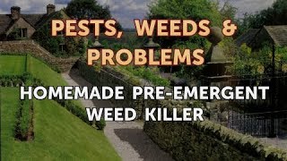 Homemade PreEmergent Weed Killer [upl. by Jobye]