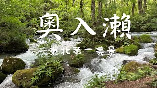 東北第一美景奧入瀨溪全景｜潺潺流水聲聲入耳｜絕美綠色水精靈步道｜東北輪行ep6 [upl. by Ahsinrad]