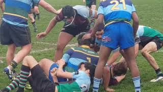 Harlequins U18 v Brimbank 030819 2H [upl. by Awra]