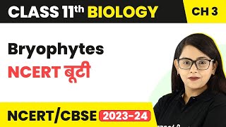 Bryophytes  NCERT बूटी  Plant Kingdom  Class 11 Biology Chapter 3  NCERTCBSE [upl. by Servetnick]