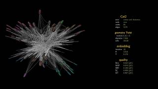 NonEuclidean brains [upl. by Baggott]