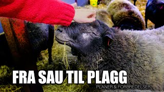 FRA SAU TIL PLAGG  EPISODE 1 [upl. by Gunar]