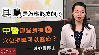 陳妙霞博士：耳鳴是怎樣形成的？中醫哪些食療及穴位按摩可以醫治？《大醫精誠》（20220618） [upl. by Torrin191]