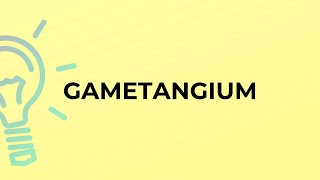 What is the meaning of the word GAMETANGIUM [upl. by Nauqal592]