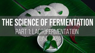 The Science of Fermentation Lactofermentation [upl. by Ardisi]