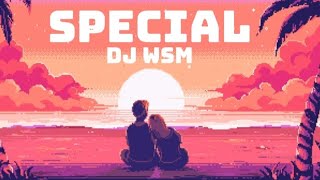 DJ WsM  Special [upl. by Aynekal]