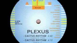 plexus cactus rhythm [upl. by Llerdnek431]