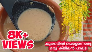 Palada Mix Payasam Malayalam  Palada payasam പായസം മിക്സ് കൊണ്ട് പിങ്ക് പാലട  VW VLOG 084 [upl. by Edlitam]