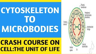 PART 6NCERTCrash CourseCellThe Unit Of LifeCytoskeleton to MicrobodiesBiologyNEETAIIMS [upl. by Hadihsar]