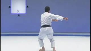 JKA Kankusho 48 moves  by Osaka Sensei [upl. by Aicilyt]