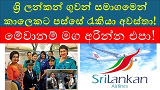 Latest SriLankan Airlines Job Vacancies in 2024  Open Positions amp How to Apply [upl. by Elynad]