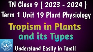 Tropism in Plants Class 9 Science Term 1 Unit 19 Plant Physiology [upl. by Zipporah413]