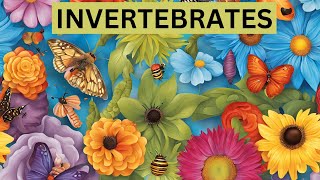 Discover the AMAZING World of Invertebrates [upl. by Hollie947]