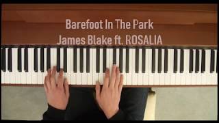 James Blake  Barefoot In The Park ft Rosalia Piano Cover [upl. by Anita]