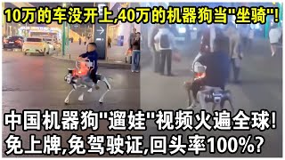 10万元的車還沒開上，40萬的機器狗已經當“坐騎”了？中國機器狗“遛娃”視頻火遍全球！免上牌，免駕駛證，回頭率100？ [upl. by Niemad657]