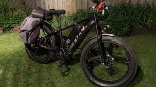 A no BS review after 16000 kms Rize RX Pro fat tire Ebike [upl. by Eruot]