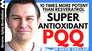 SUPER Antioxidant PQQ 10 TIMES More POTENT Than Resveratrol  Dr David Sinclair Interview Clips [upl. by Chloris]