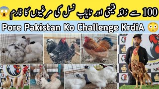 Rare Ai Fancy Poultry Hens Breeds In Pakistan 🤩 Silkies Shamo Aseel Brahmas Lakenvelder B4BIRDS [upl. by Melvena]