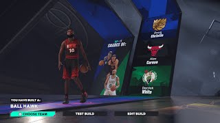 NBA2K25 BEST and RARE BALLHAWK SG [upl. by Malena]