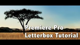 Premiere Pro Letter Box Tutorial [upl. by Eddana220]