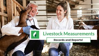 Livestock Measurements [upl. by Edson]