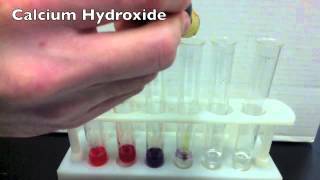 Acids amp Bases Activity using Universal Indicator Solution [upl. by Cowles803]