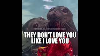 WAIT THEY DON’T LOVE YOU LIKE I LOVE YOU seal [upl. by Lamek]