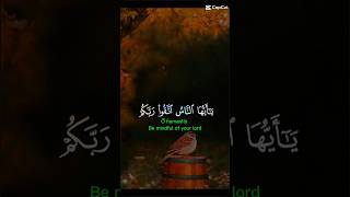 قرآن كريم اتقوا الله اكسبلور واخشو يوما لا ريب فيه ❤️‍🩹 [upl. by Elamaj]