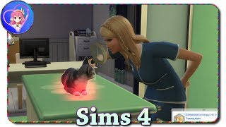 Chaos Praxis 💜 Sims 4 Hunde amp Katzen »13« [upl. by Storm]