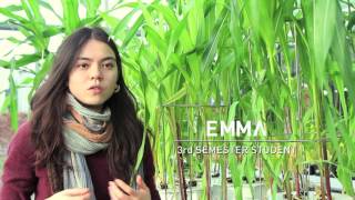 Sustainable Agriculture BSc  Video Made by Students [upl. by Marler]