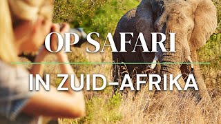 Op Safari in Zuid Afrika [upl. by Maryn553]