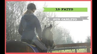 15 faits sur un trotteur [upl. by Uile839]