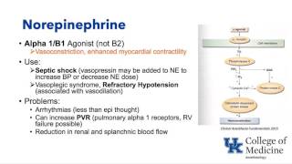 Basic Cardiovascular Pharmacology Schell [upl. by Eiveneg271]