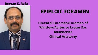 EPIPLOIC FORAMEN [upl. by Millford]