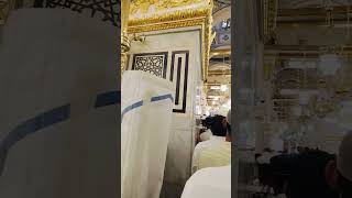 RAWDA RASOOL ZIYARAT MADINA SHAREEF MASJID NABAWI ALLHAMDULLIAH ❤️MINI VIDEO [upl. by Idorb]