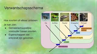 VerwantschapsschemaStamboom voor evolutie hoe lees je dat [upl. by Adnawat]