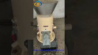 15kw SKJ250 sawdust pellet machine working woodpelletmachine pelletmill woodpelletfactory [upl. by Eulau]