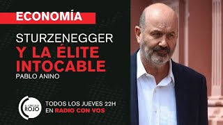 🔴 ECONOMÍA Pablo Anino  Sturzenegger y la élite intocable [upl. by Lehcem]