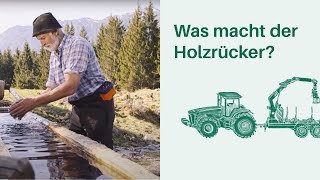 Was macht der Holzrücker Arbeitsplatz Wald 🌳🌲 I Berufe in Wald amp Forstwirtschaft [upl. by Ajiak]